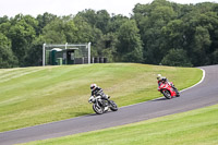 Lower Group White Bikes